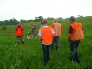 Bracco Italiano NAVHDA