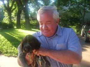 Wirehaired Pointing Griffon Puppies