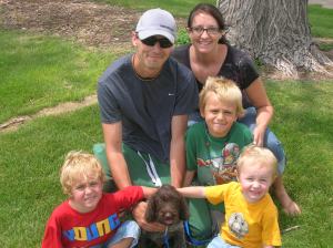 Wirehaired Pointing Griffon puppies