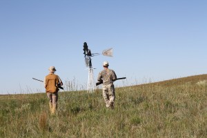 Dove Hunting