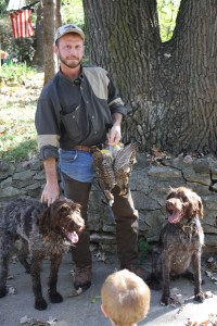 Wirehaired Pointing Griffons