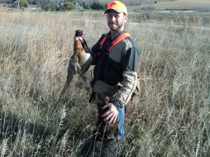 Wirehaired Pointing Griffon