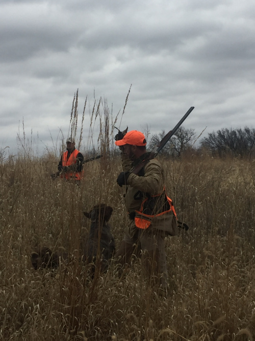 Charles and quail Dec 2015