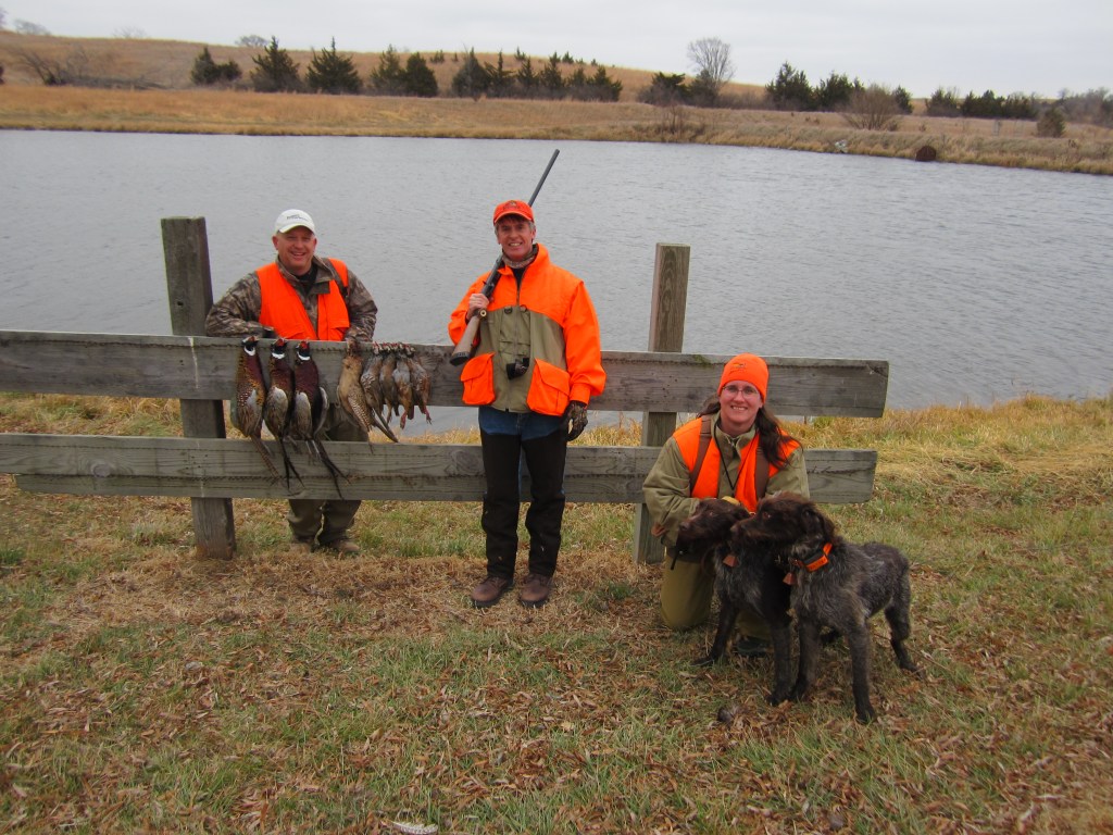 Wirehaired Pointing Griffon preserve guide dogs