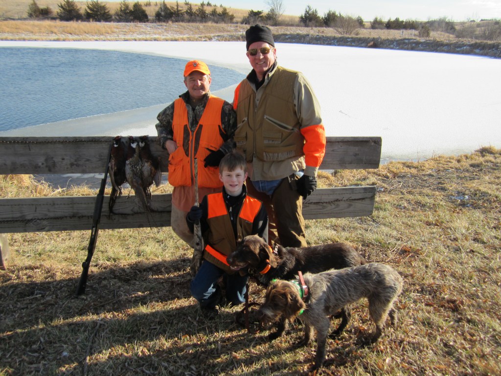 Wirehaired Pointing Griffon preserve guide dogs