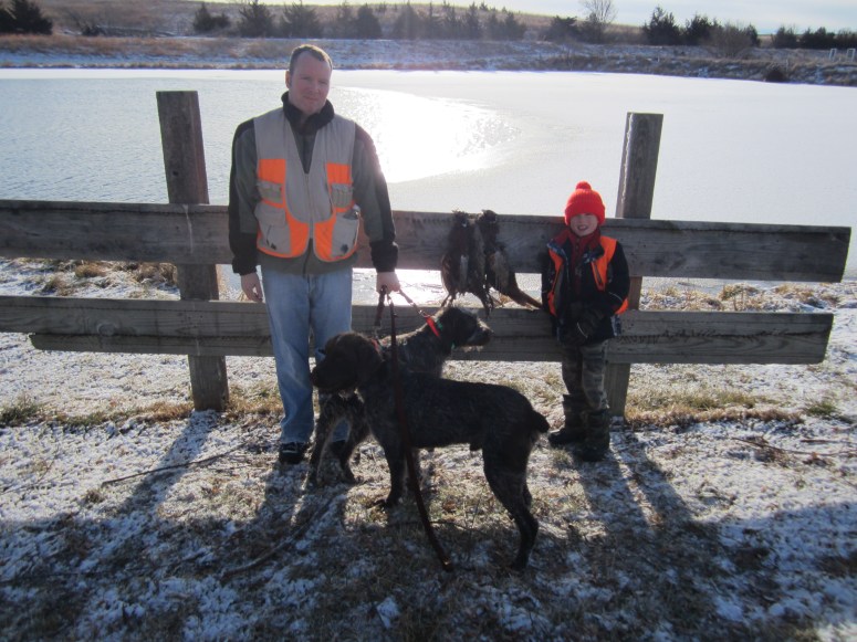 Wirehaired Pointing Griffon preserve guide dogs