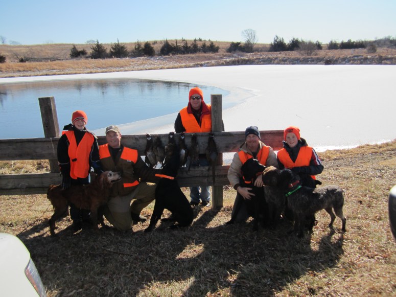 Wirehaired Pointing Griffon preserve guide dogs