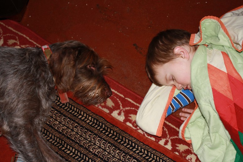 Wirehaired Pointing Griffon with children