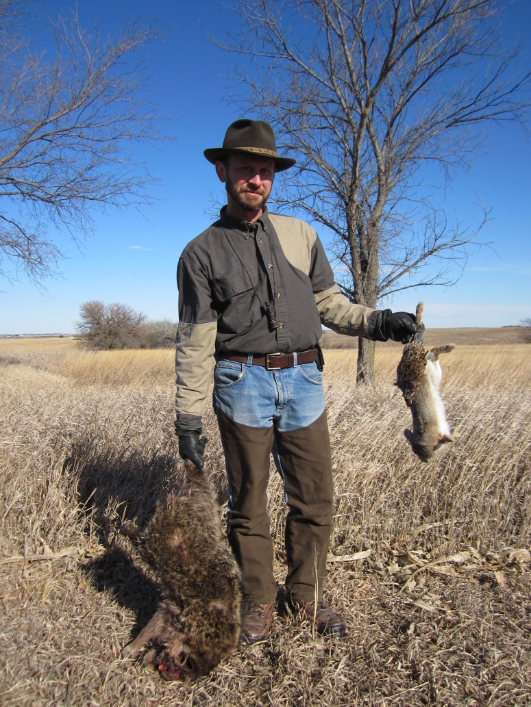 Wirehaired Pointing Griffon Fur Hunting