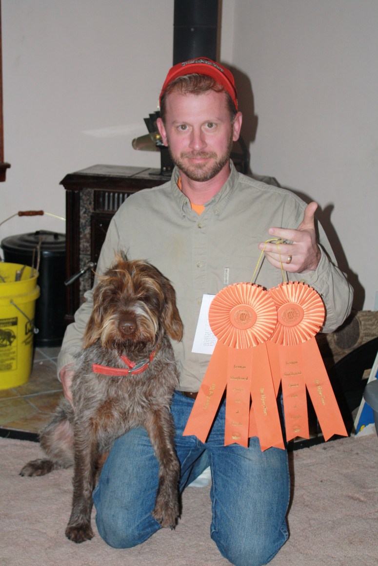 Wirehaired Pointing Griffon AKC Junior Hunter
