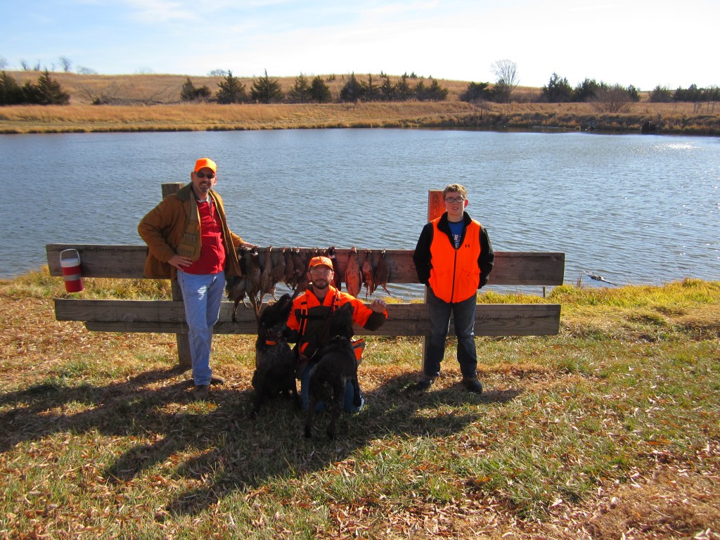 Wirehaired Pointing Griffon preserve guide dogs