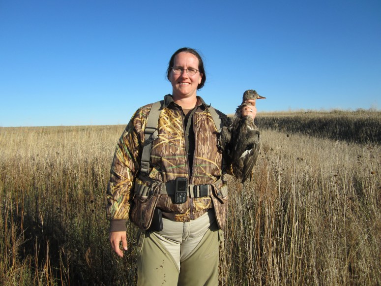 Wirehaired Pointing Griffons North Dakota Hunting