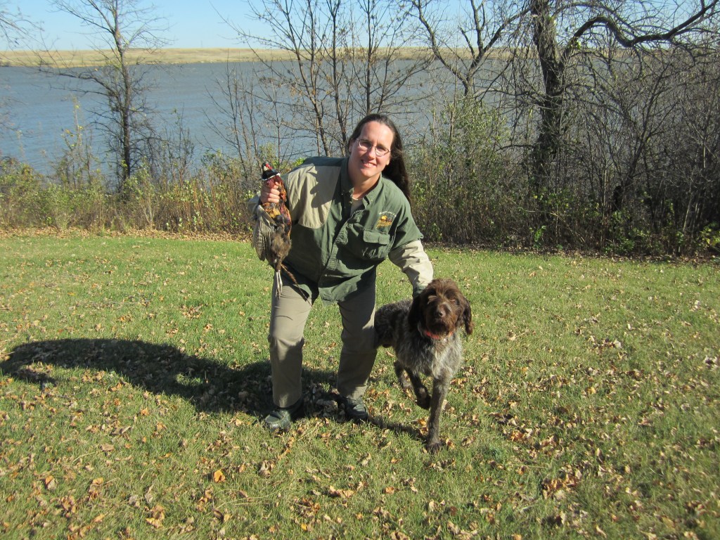 Wirehaired Pointing Griffons North Dakota Hunting