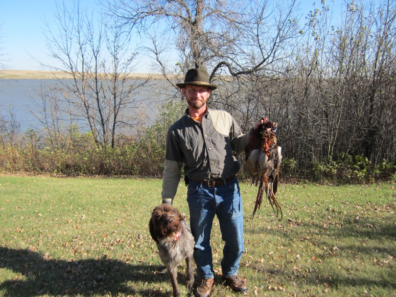 Wirehaired Pointing Griffons North Dakota Hunting