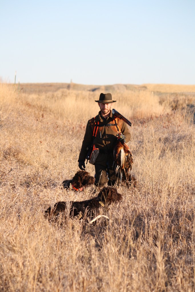 Wirehaired Pointing Griffons North Dakota Hunting