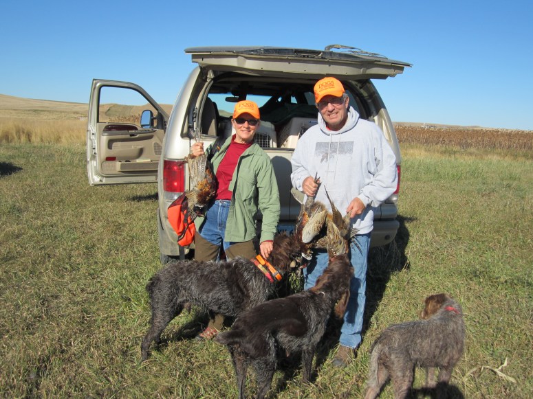 Wirehaired Pointing Griffons North Dakota Hunting