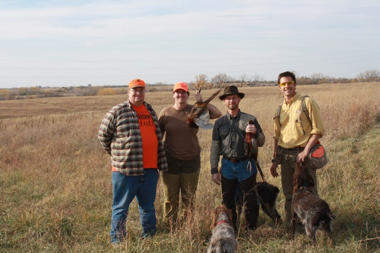 Wirehaired Pointing Griffon Nebraska Pheasant