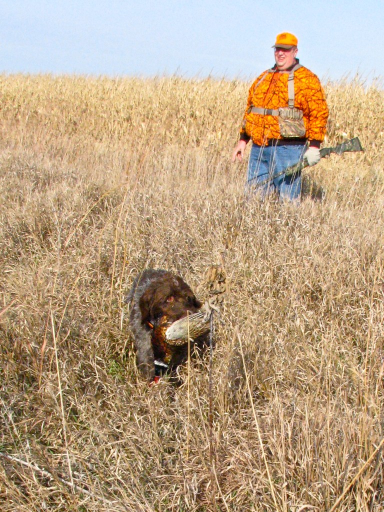 Nebraska Pheasant