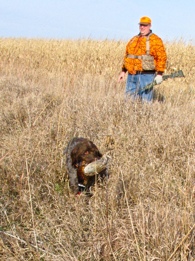 Nebraska Pheasant