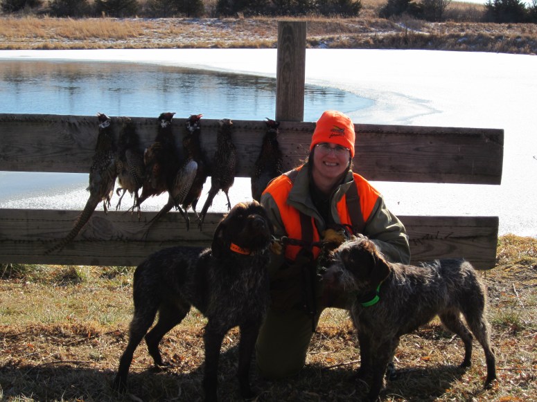 Wirehaired Pointing Griffon preserve guide dogs