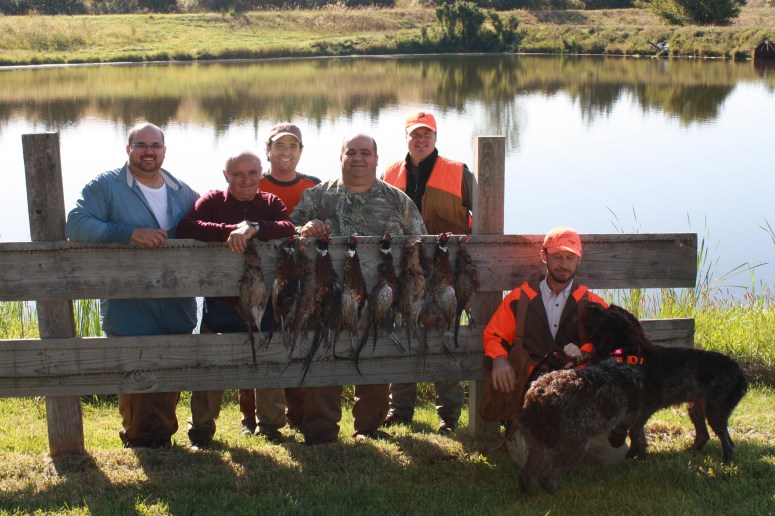 Wirehaired Pointing Griffons preserve guide dogs