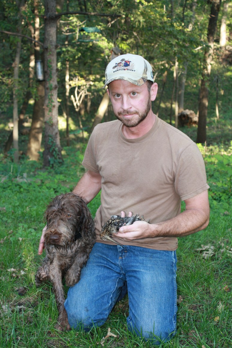 Wirehaired Pointing Griffons Snipe Hunting