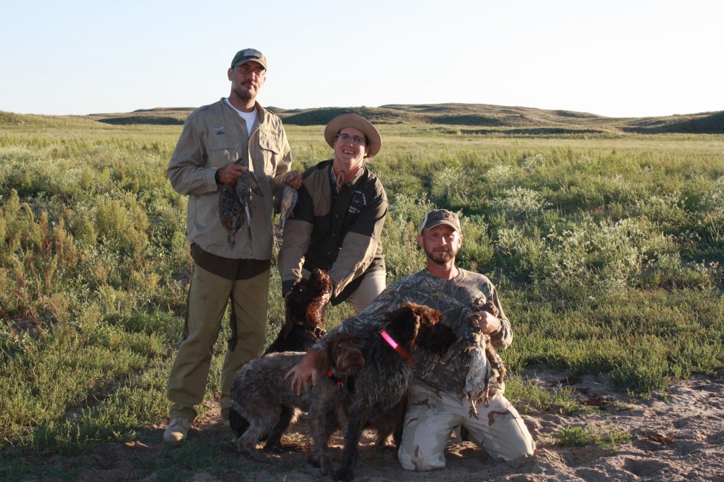 Wirehaired Pointing Griffons grouse hunting