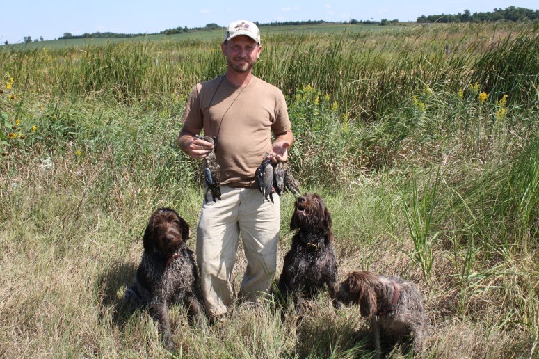 Wirehaired Pointing Griffons snipe hunting