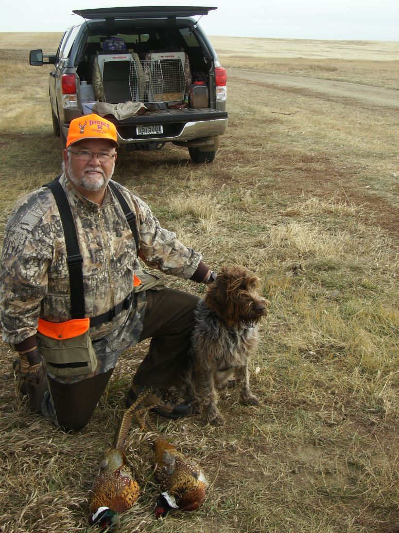 Bluestem Kennels Wirehaired Pointing Griffon Puppy