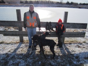 Wirehaired Pointing Griffon