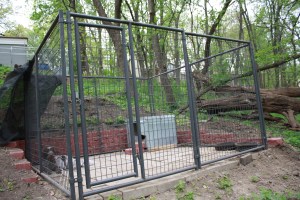 10x10x6 welded wire kennel