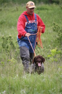 Wirehaired Pointing Griffon NAVHDA NA
