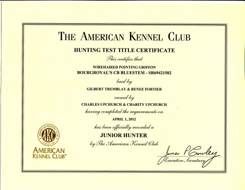 BB's AKC Junior Hunter Certificate