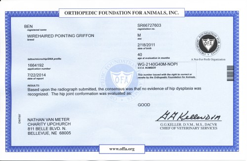 Ben's OFA Certificate