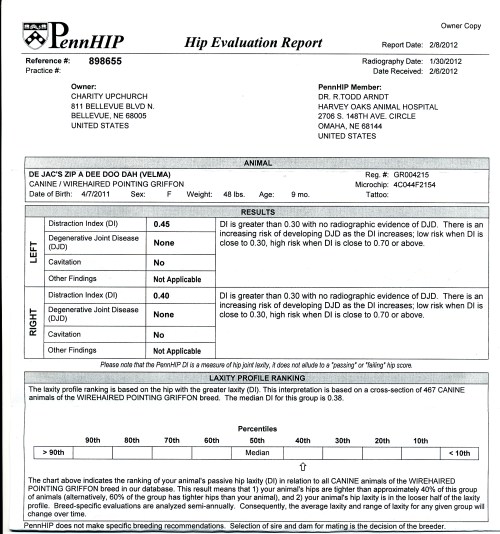 Velma's Penn-HIP certificate