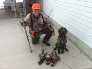 Another great day for Roxy (18 month old Wirehaired Pointing Griffon female)!