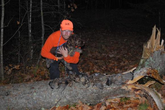 Rob and Abby (from Bluestem Kennels "D" litter from Sam and Sue, 5 month old Wirehaired Pointing Griffon female) after a successful October day of hunting ruffed grouse in Wisconsin.