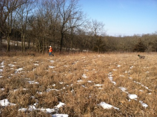 Sam on point, Matt walking in, BB honoring