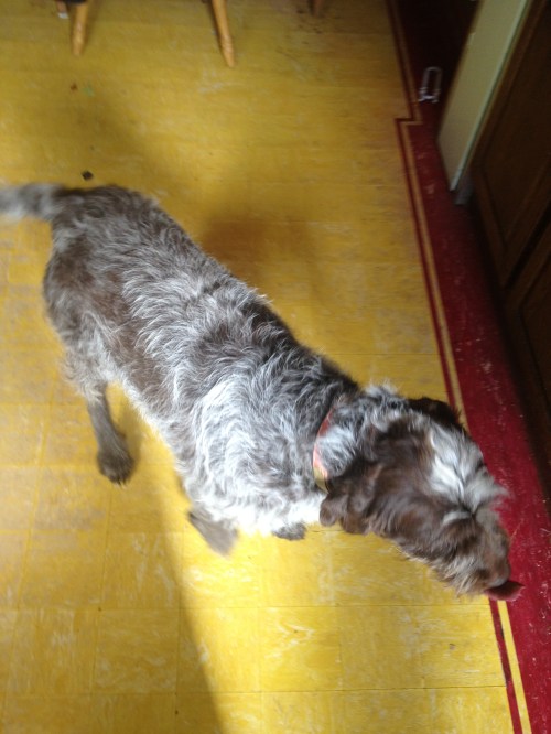 Another angle of Mae