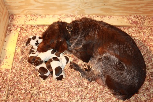 Sue making sure that everyone is having a good nap