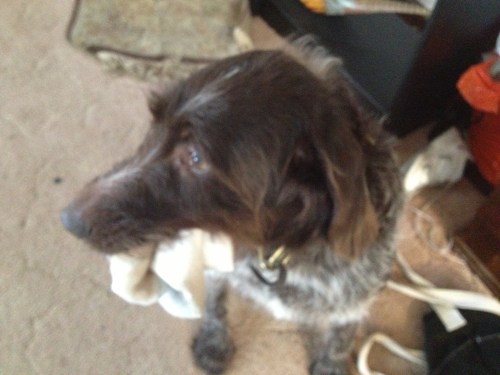 Sue picking up the kids dirty socks