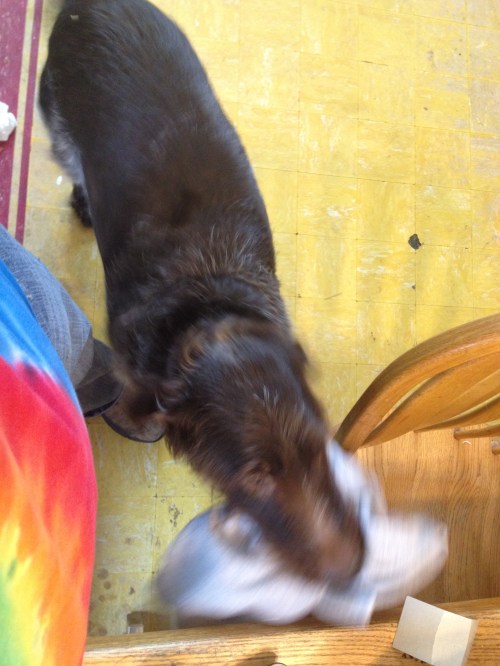 Sue came up for a visit while I blog at the kitchen table.  She brought me one of the kids sweatshirts.