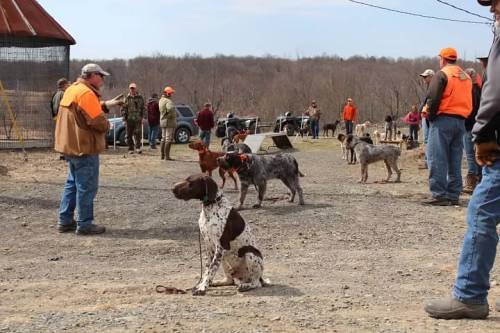 Chester is definitely the coolest dog in the bunch