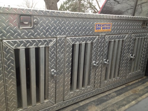 Pups paired up in the dog box