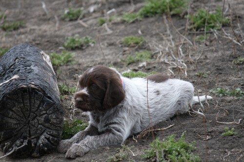 Edward watches the kids in the water.  He will live in Minnesota.