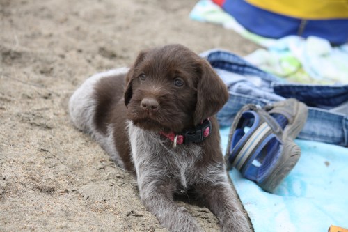 Edna hanging with the kids' stuff, she will stay in Sarpy Co., Nebraska.