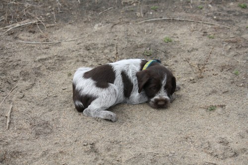 Edith is hiding out from the wind, which is a good skill in Oklahoma.