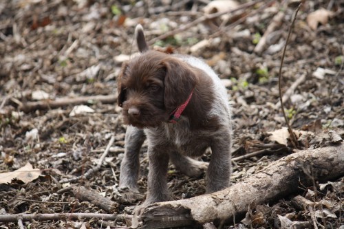 Edna will be the first to leave on Friday.  But she will just be across town so I will see her soon.