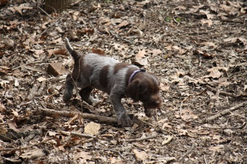 Eustace will fly to Ohio on the 29th