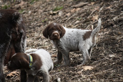 Edith (left) will go to OK and Edward to MN this weekend.
